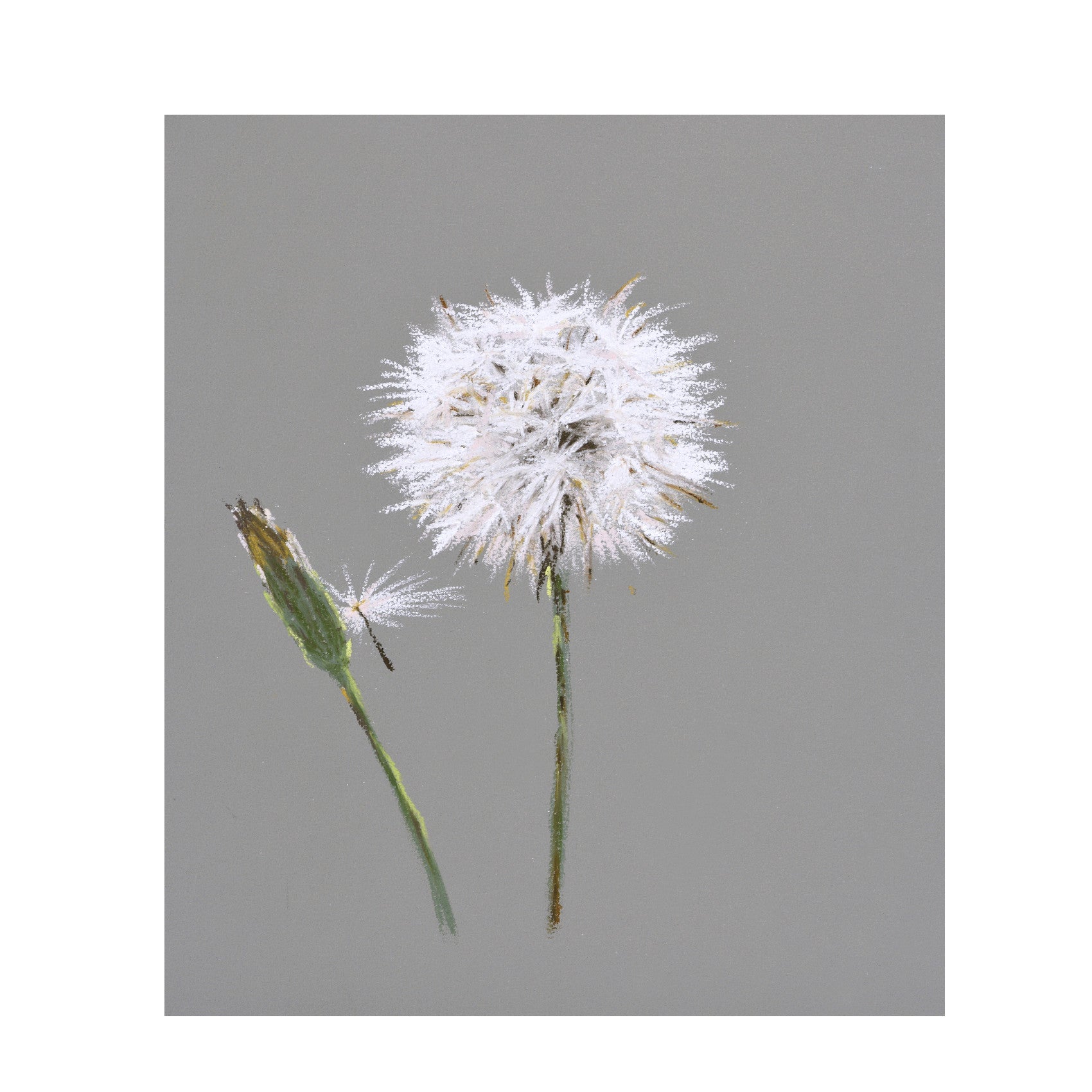 Dandelion seed head painting