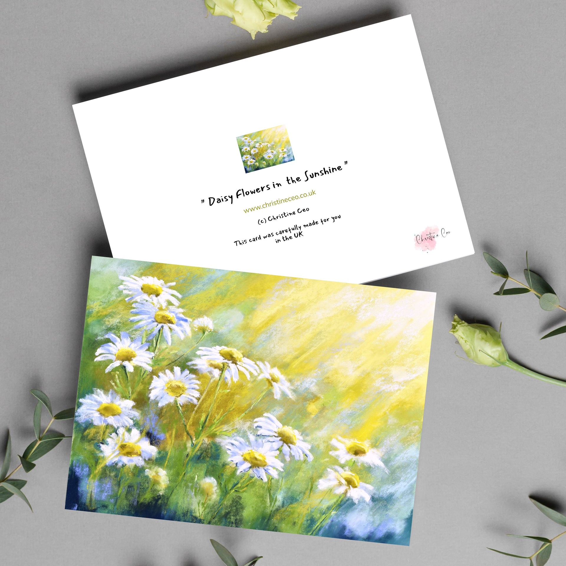 Daisy Flowers in the Sunshine greeting card. Front and back view
