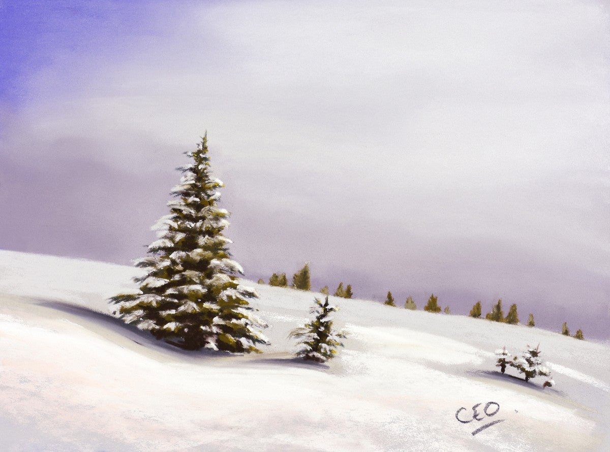 Little Christmas Trees
