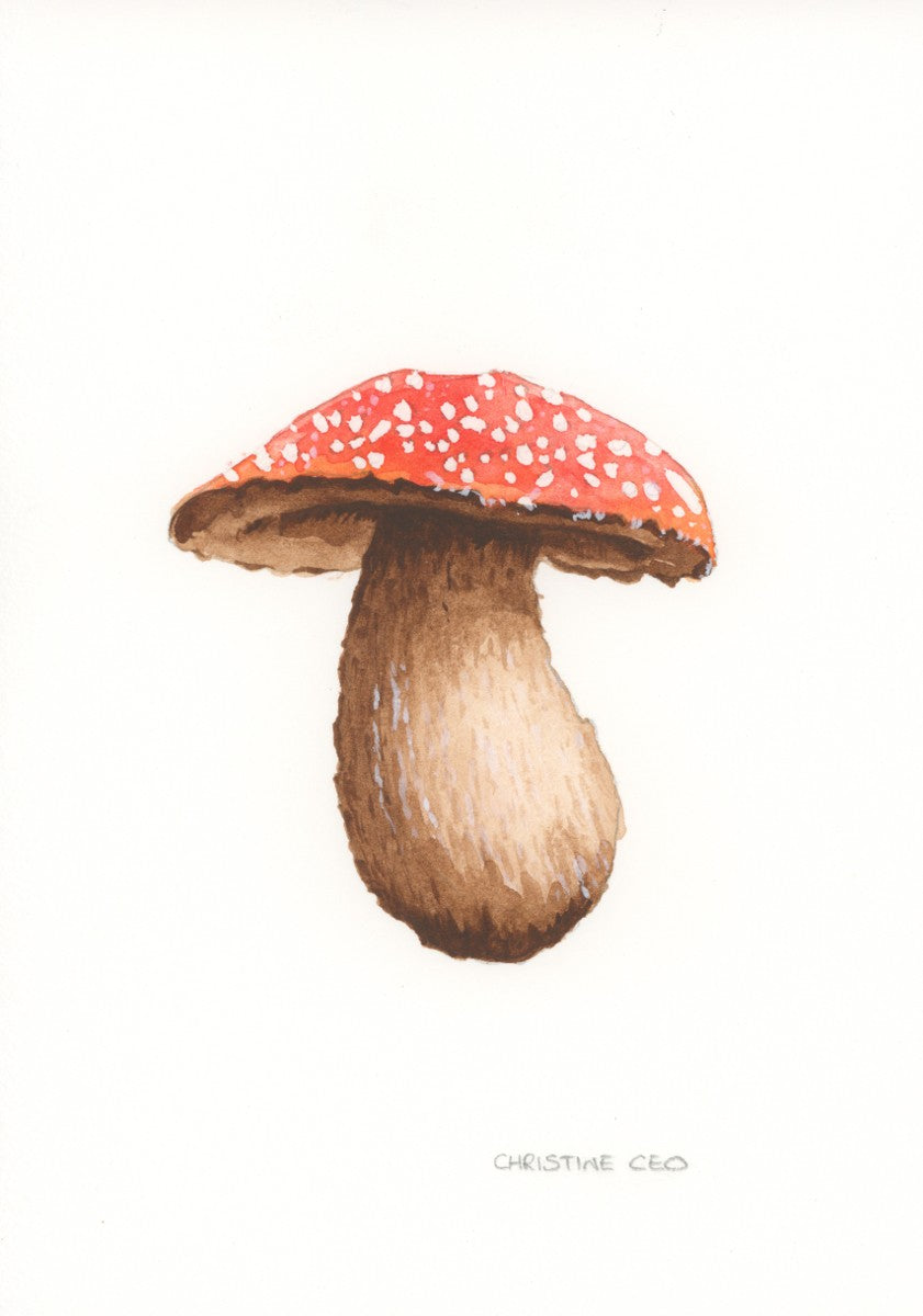Spotty Mushroom