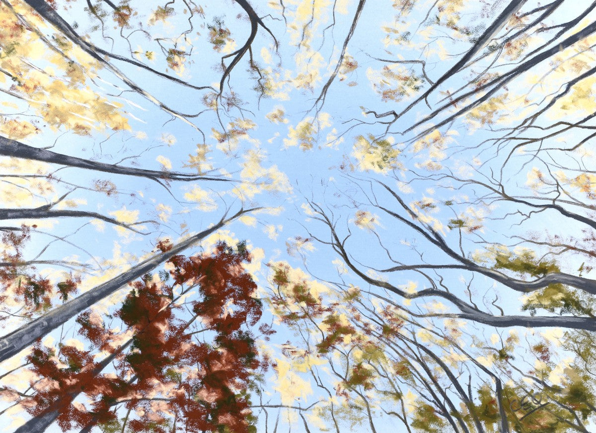 Looking Up