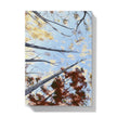 Notebook with tree canopy and leaf design on a blue background. back cover