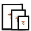 Mushroom water colour art print in black frames