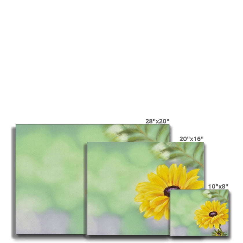 Yellow daisy canvas print, 3 different sizes