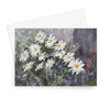 Greeting card with a painting of white daisies and colourful background