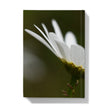 Hardback journal with white flower and green background. back cover