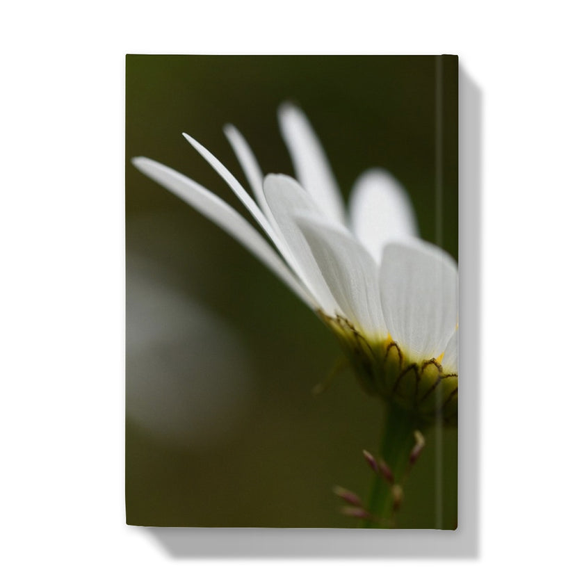 Hardback journal with white flower and green background. back cover