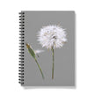 Notebook with a dandelion design on a gray background