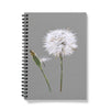 Notebook with a dandelion design on a gray background