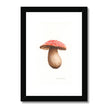 Framed artwork of a mushroom with a red cap with a black frame