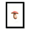 Framed artwork of a mushroom with a red cap with a black frame