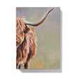 Hardback journal with a highland cow on the cover.