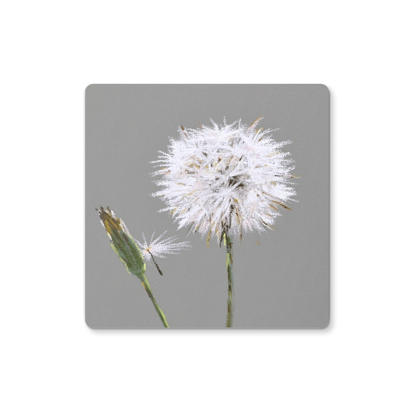 Grey and white dandelion seed head art work designed drinks coaster