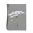 Notebook with white flowers on a gray background