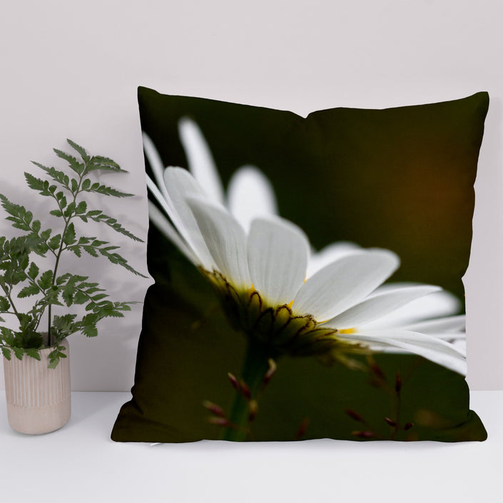 A throw cushion with a photographic art print of a white daisy flower on a dark background in a home setting
