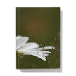 Journal with a white flower and green background. front cover