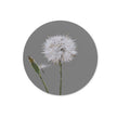 Dandelion seed head art, grey and white round chopping board