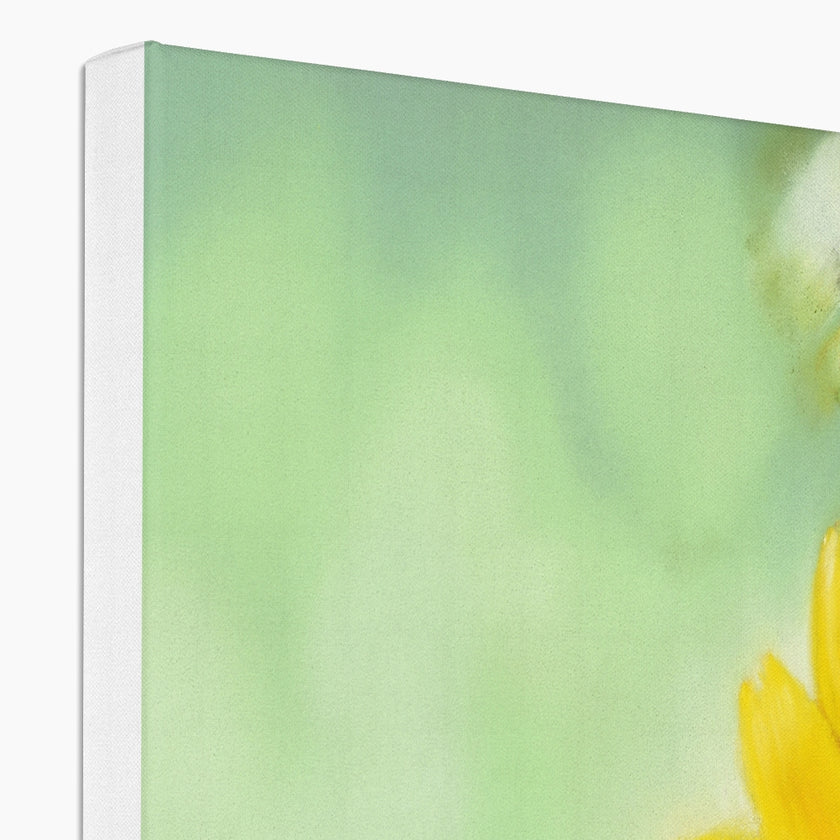 Top left corner showing white wrap detail