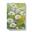 Notebook with a floral design, featuring white daisies in the sunshine. back cover