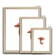 Mushroom water colour art print in wooden frames