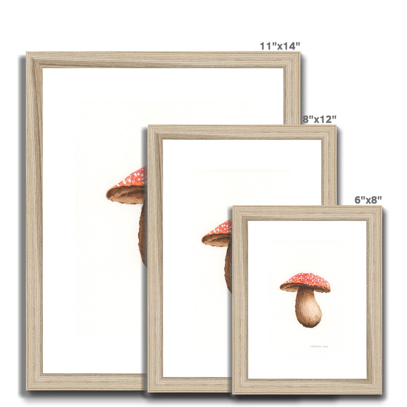 Mushroom water colour art print in wooden frames