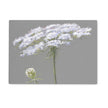 Queen Anne's Lace flower art, grey and white rectangular worktop saver