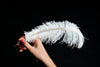 A woman's hand holding a white feather quill
