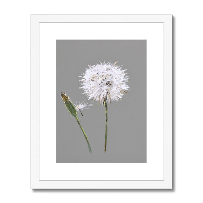 Dandelion art. Grey and white fine art print in white frame with white mount.