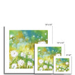 Dandelion seed heads fine art prints with white border. Different sizes