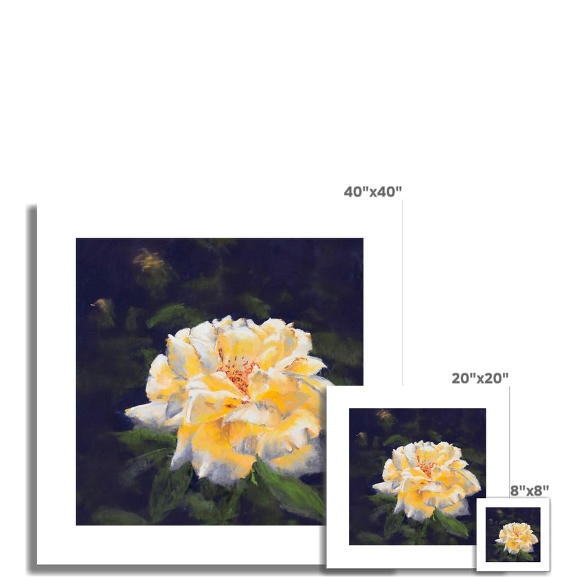 Elegant yellow rose artwork, fine art canvas prints. Unmounted. Square floral art prints, different sizes