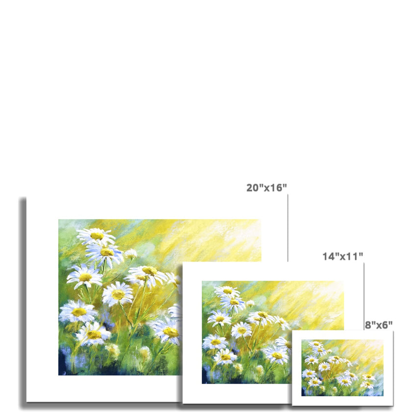 Daisy Flowers in the Sunshine fine art prints, different sizes.