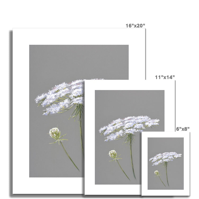 Grey and white floral art illustration, fine art prints. Different sizes