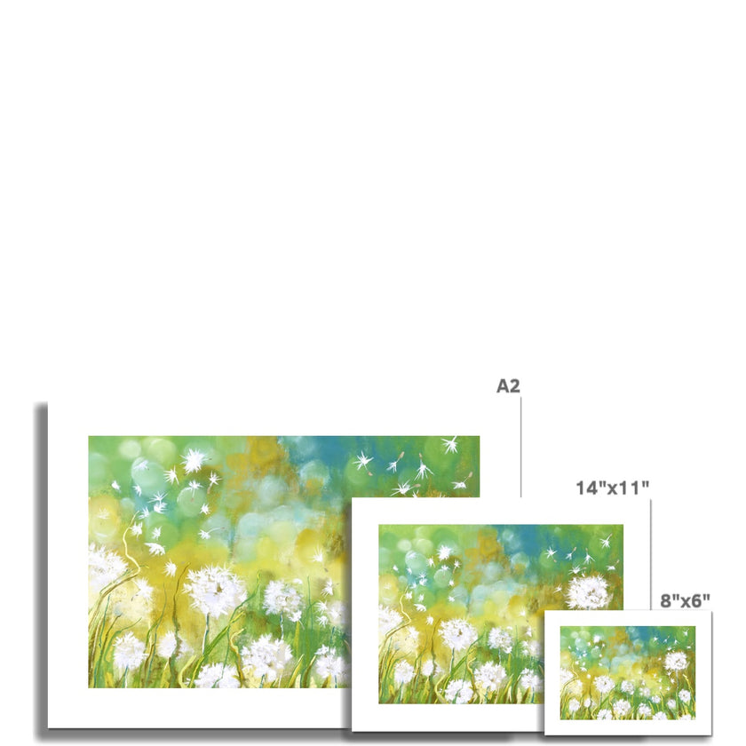 Dandelion seed heads and grasses fine art prints. Different sizes