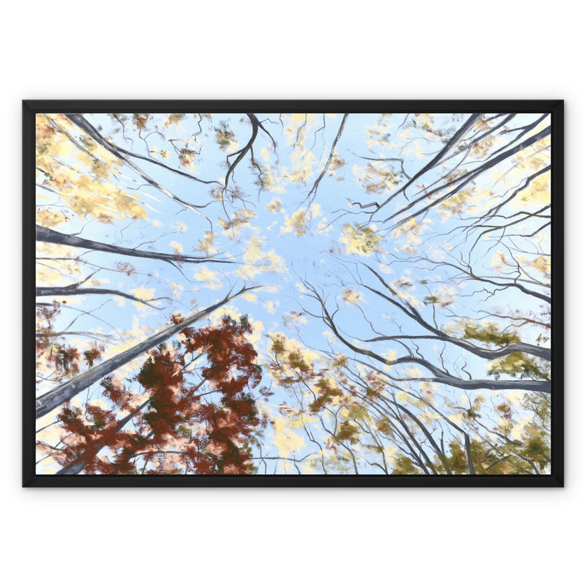 Autumn tree canopy artwork, fine art canvas print in a black picture frame. 