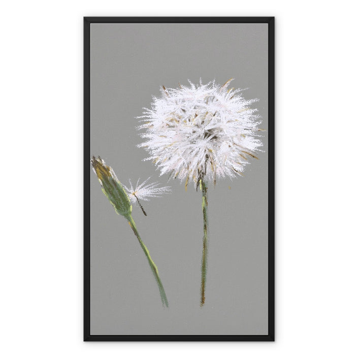 Dandelion seed head and bud fine art canvas print with black frame. 