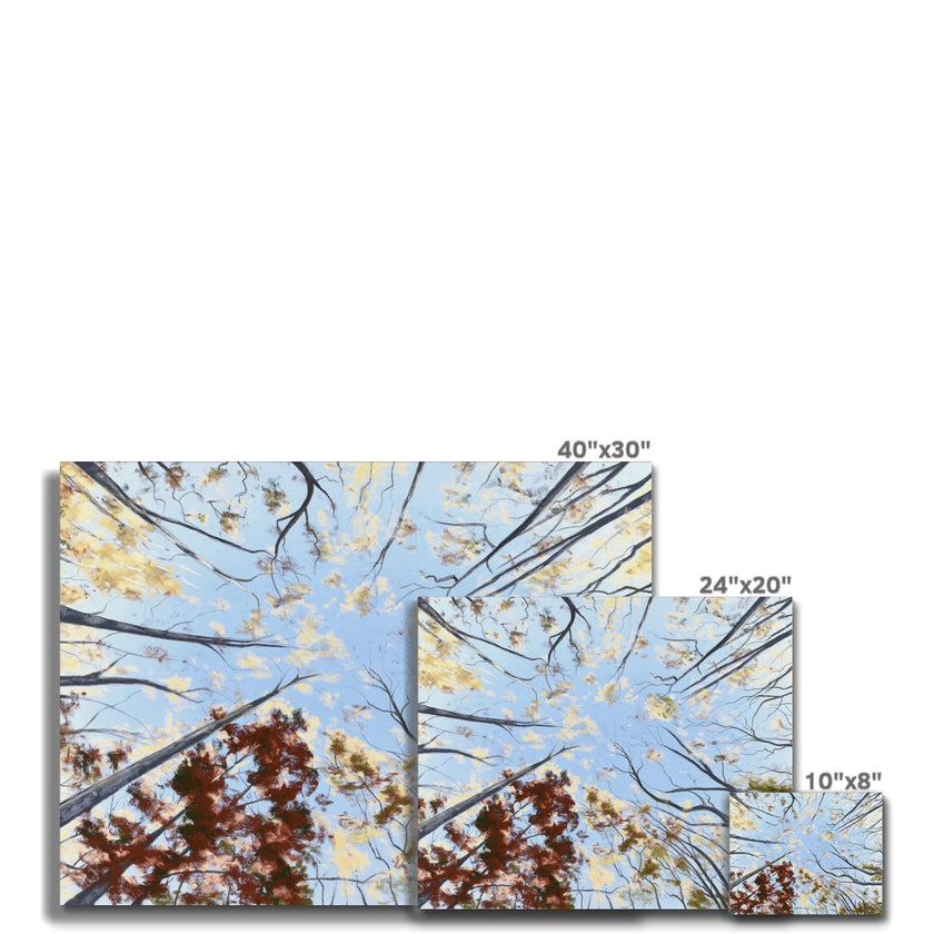 Autumn forest tree canopy artwork prints. Landscape orientation. Different sizes.