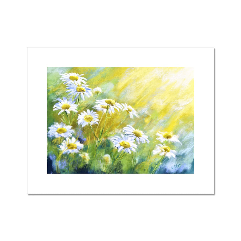 Beautiful White Daisy Flowers floral landscape artwork fine art print
