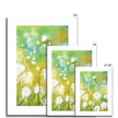 Dandelion seed heads and grasses fine art prints with white border. Different sizes