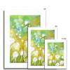 Dandelion seed heads and grasses fine art prints with white border. Different sizes