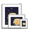 Yellow rose artwork prints in silver frame with white mount. Different sizes