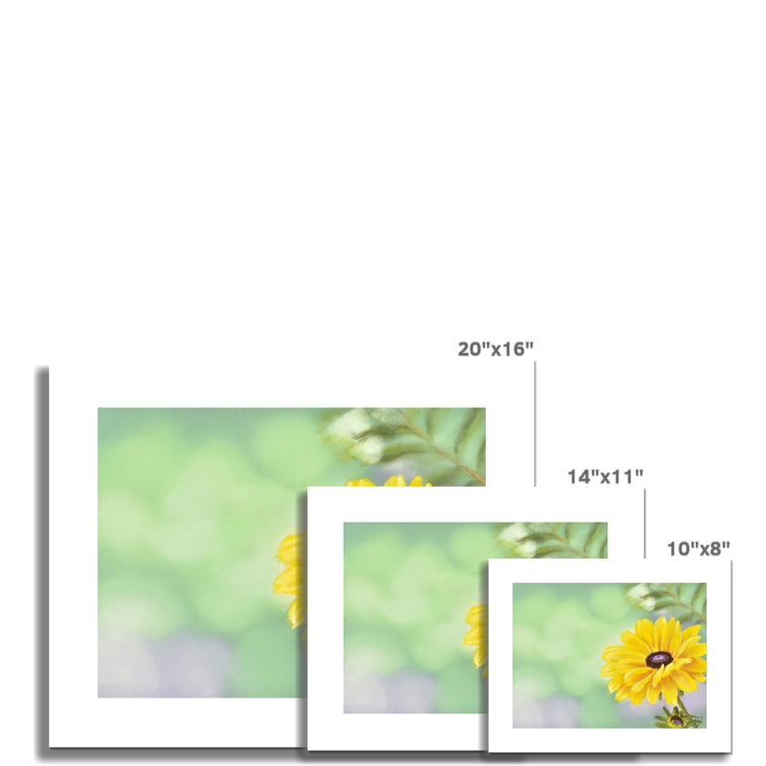 Yellow dahlia daisy flower painting. Yellow, mint green and lilac floral fine art prints. Different sizes