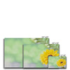 Yellow Floral canvas art prints. Landscape format. Different sizes.